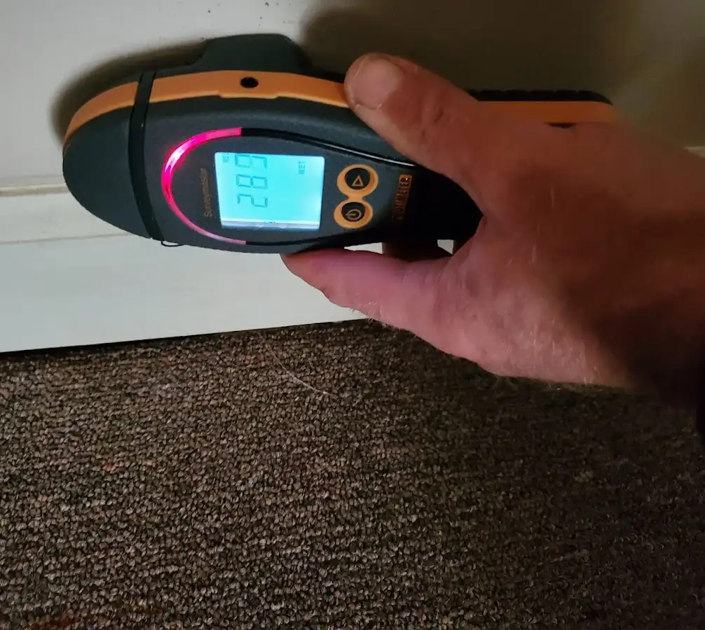 Moisture detection at baseboard during Sewage Cleanup & Sanitation in Canton